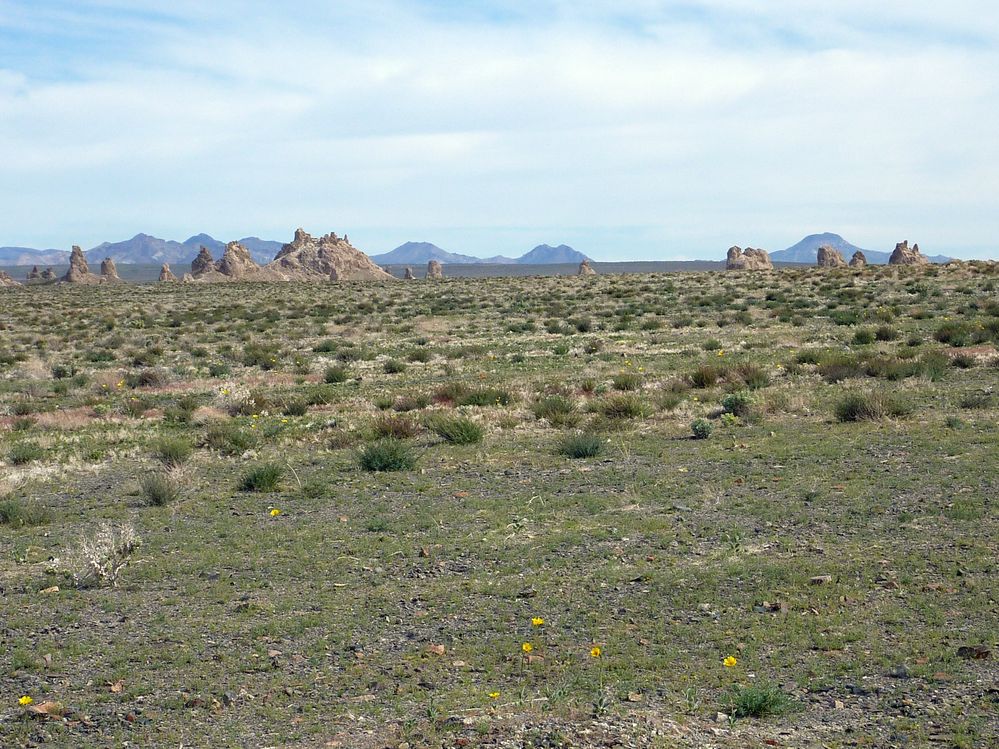 trona (2).JPG